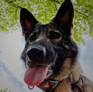 Meet your Posher, Esmee